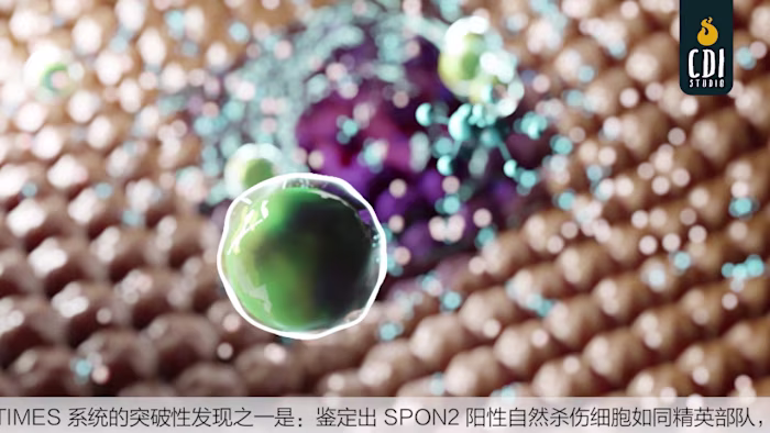 Liver Cancer Recurrence: 3D Medical Animation