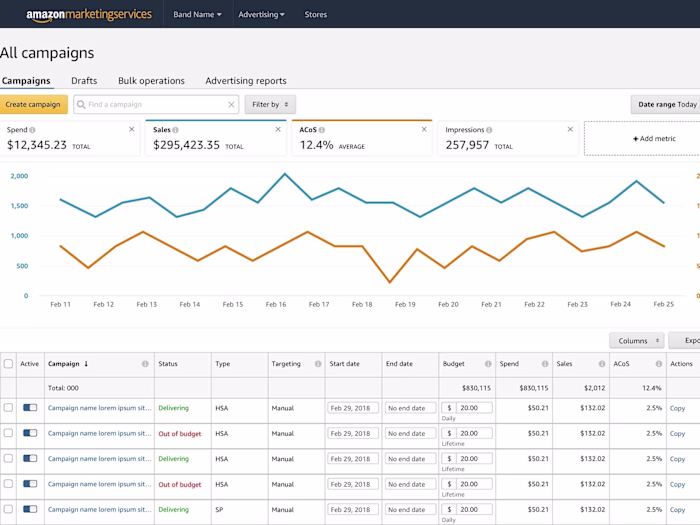 Amazon PPC Campaign 
