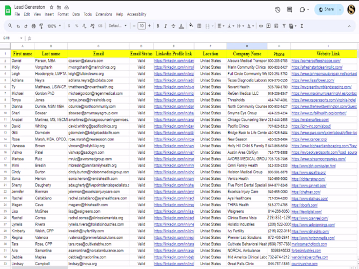 USA Lead Generation
