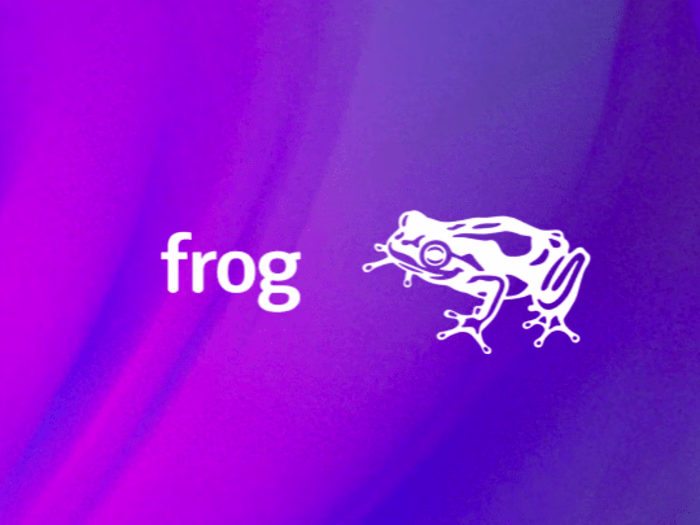 frog design — Mariam Khan