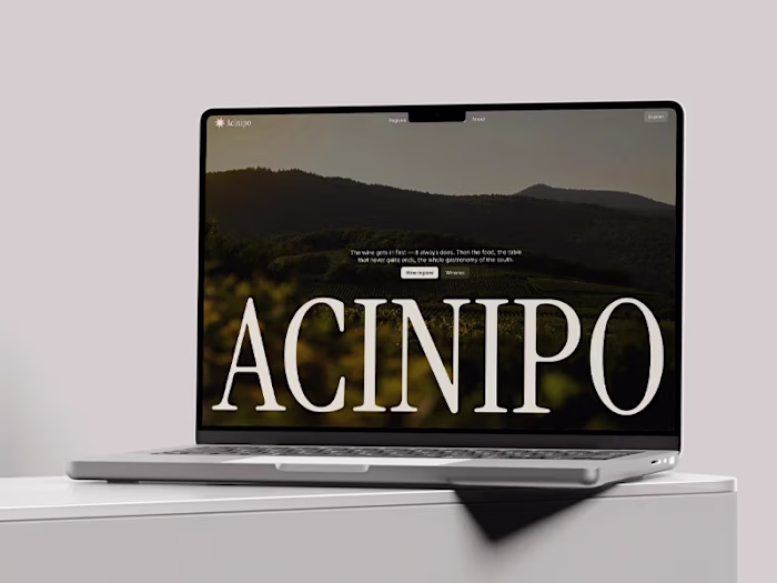 Home page web design for Acinipo Wines.