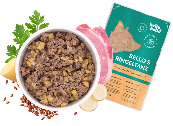 Custom Fresh Dog Meal Solutions