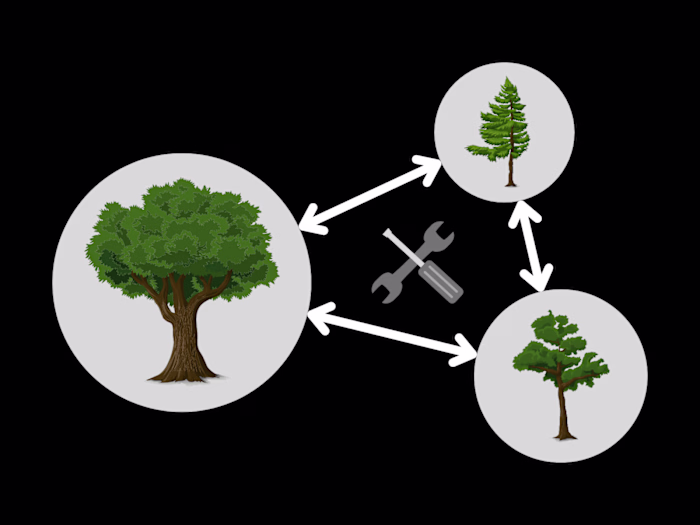 
Single Image Tree Modelling