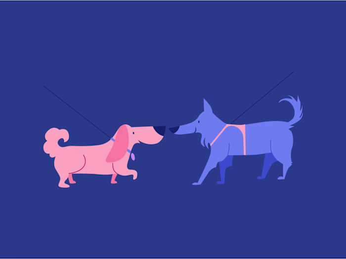 Dog walks