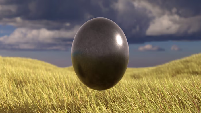 Field Trip - Short - Cloth Test