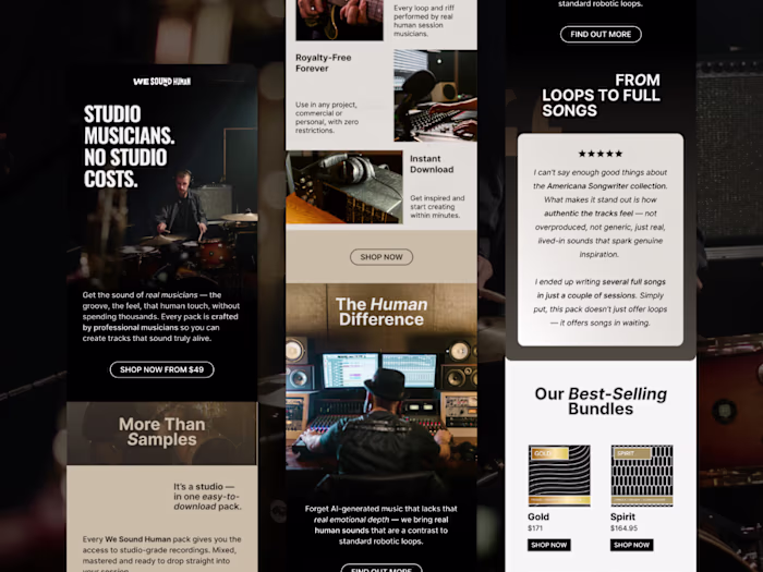 WSH E-commerce Email Campaign Design