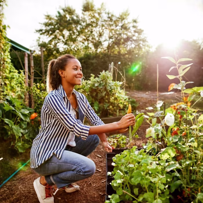 Urban Gardening Benefits: Growing Your Own Food in Limited Spac…