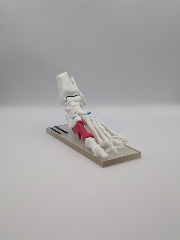 Medical tradeshow models
