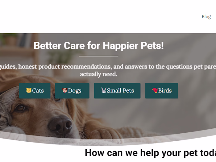Affiliate Marketing Project 
I have
