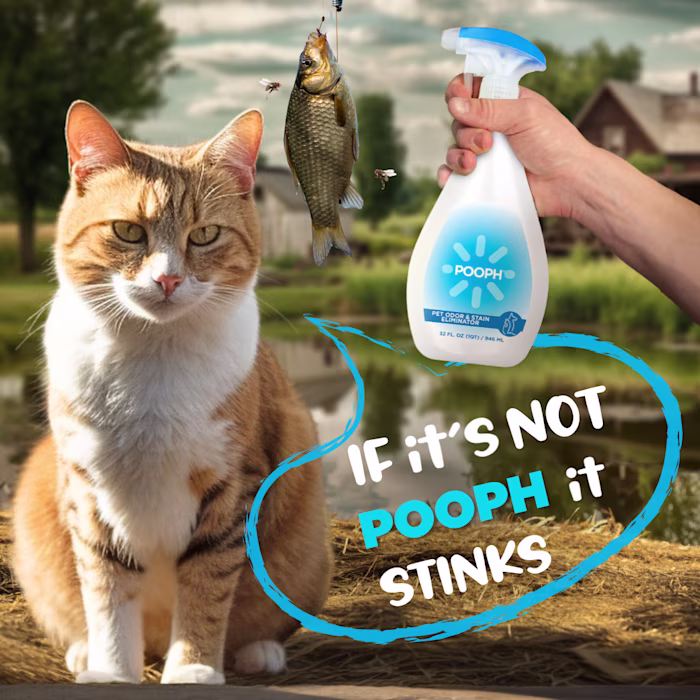 Talking Animal Ad Campaign