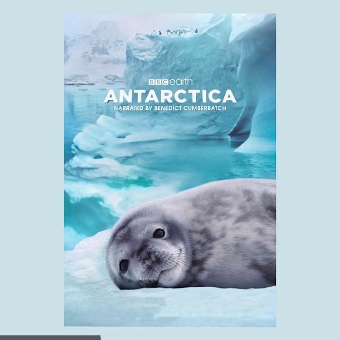 Series of Animated Movie Posters