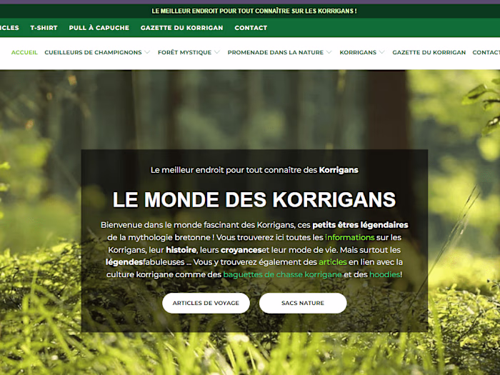 Shopify Store Product Listing, Navigation, and Blog Writing