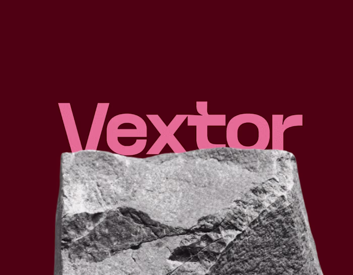Visual Identity Design for Vextor