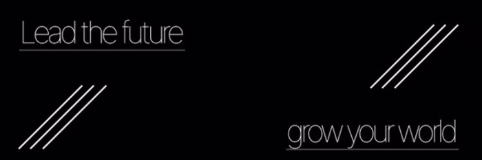 MovaLines, Web Development Agency