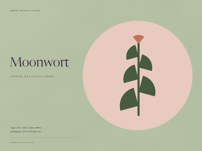 Moonwort: Evening Tea Brand Identity and Packaging System