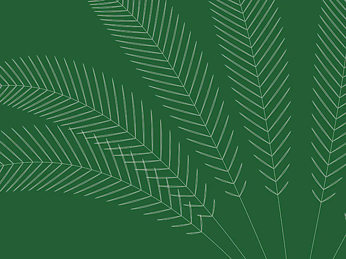 Ministry of Environment, Water & Agriculture - Web UX