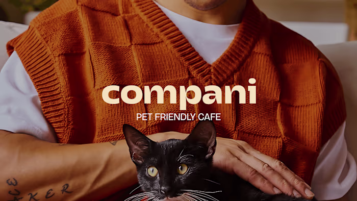 Compani — Branding