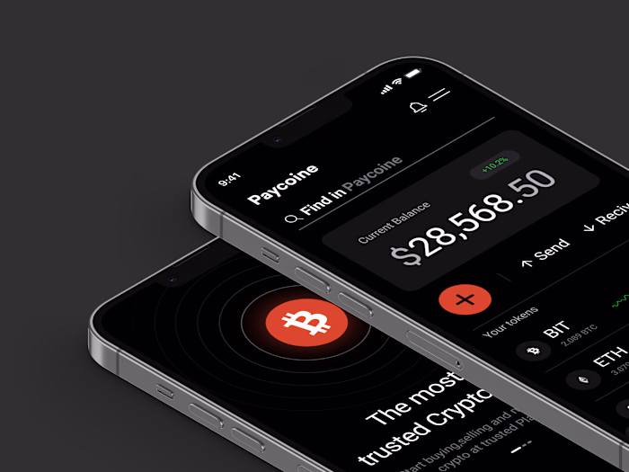 Paycoine Crypto payment Mobile App
