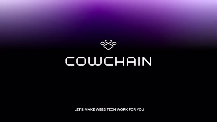  Business Presentation for Web3 Development Company