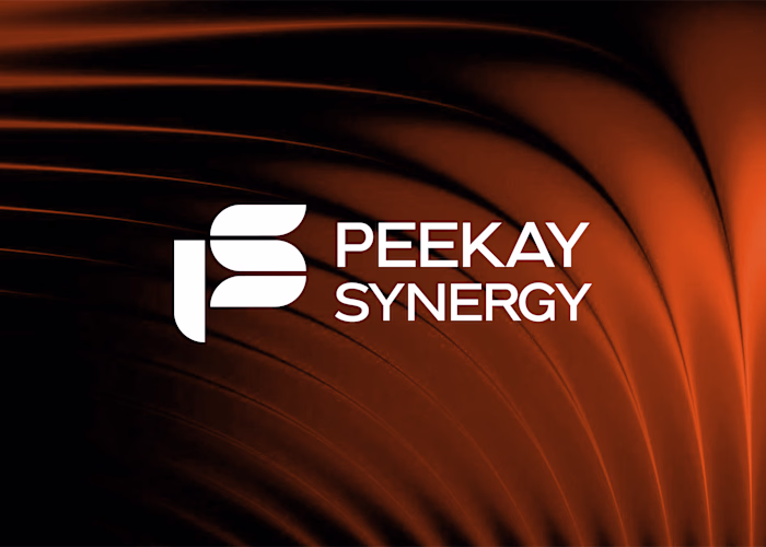 Peekay Synergy Branding