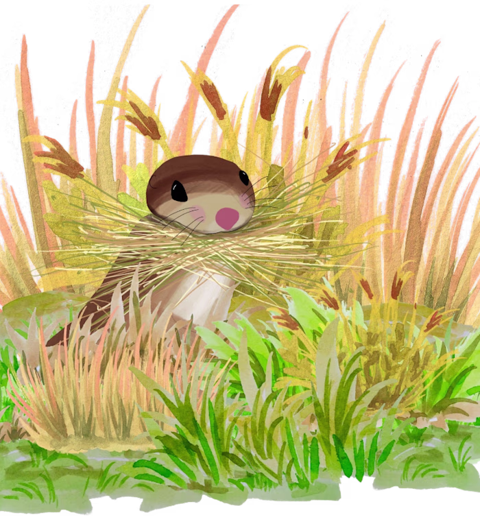 An Interactive web-based story called "A Squirrel Story"