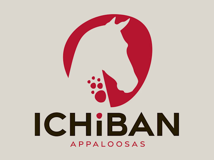 Ichiban Appaloosas | Branding a new company