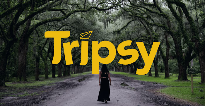 Tripsy- travel branding :: Behance