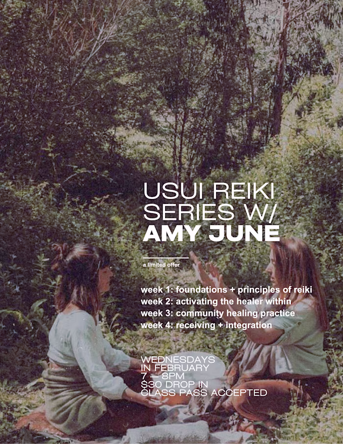 Reiki Workshop Promo Flyer