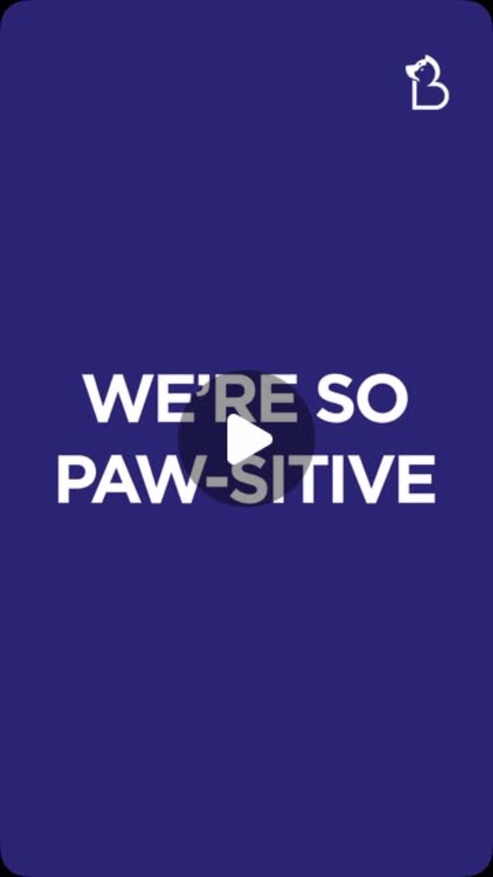 Bookmypet app promotion 