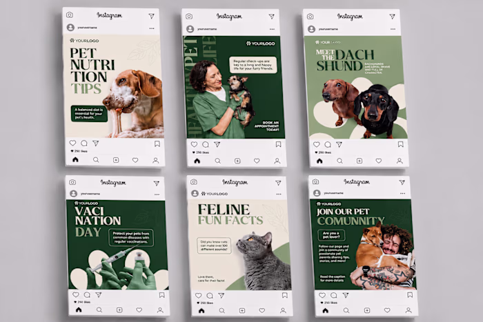 Designed a complete social media