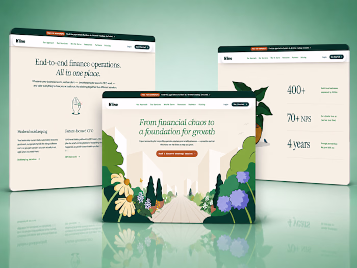 A professional accounting website should