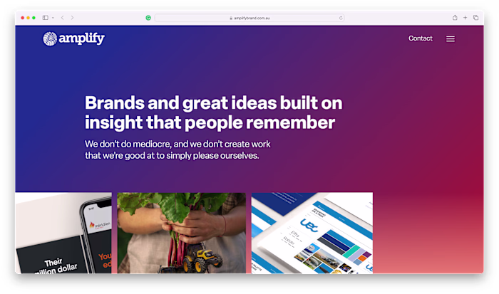 WordPress Development for Small & Large Businesses