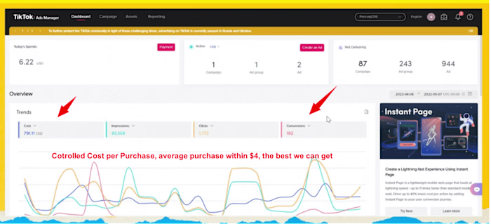 TikTok Ads Management