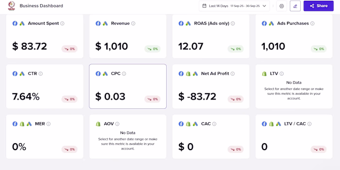 Running Meta Ads Manager without