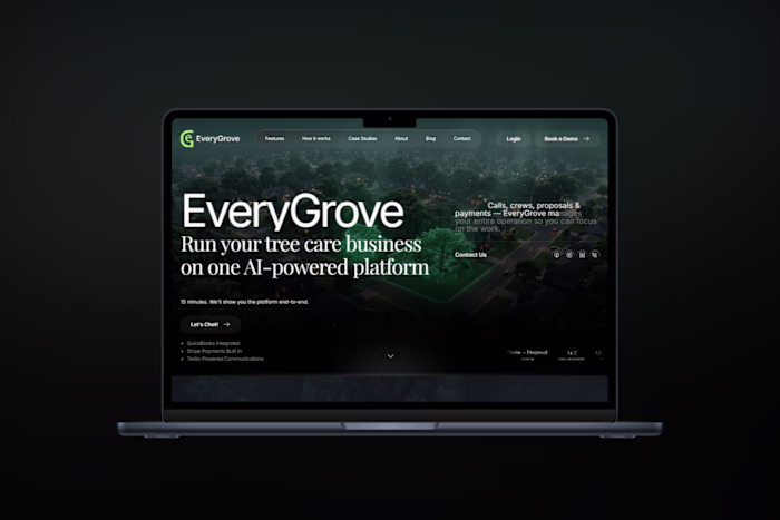 I designed the visual identity,