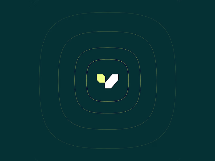 Vera — Brand, Pitch Deck, Web Design & Webflow Development