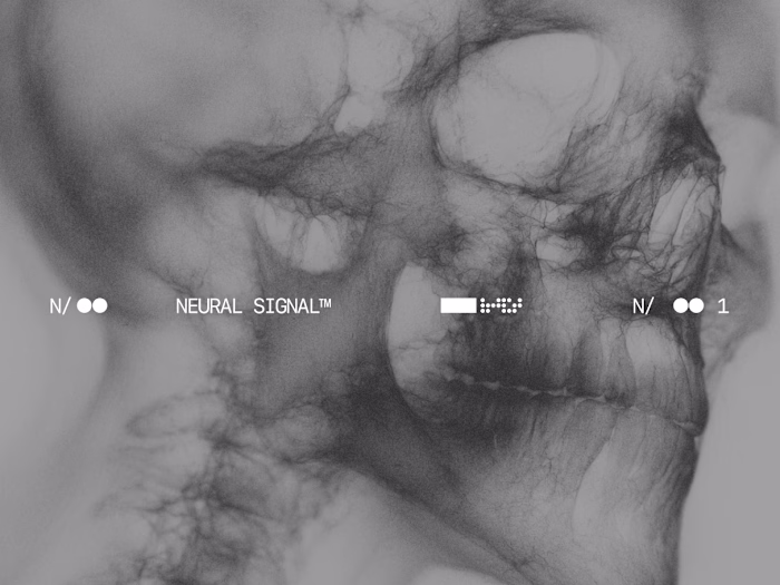 Norvex Visual Identity Design