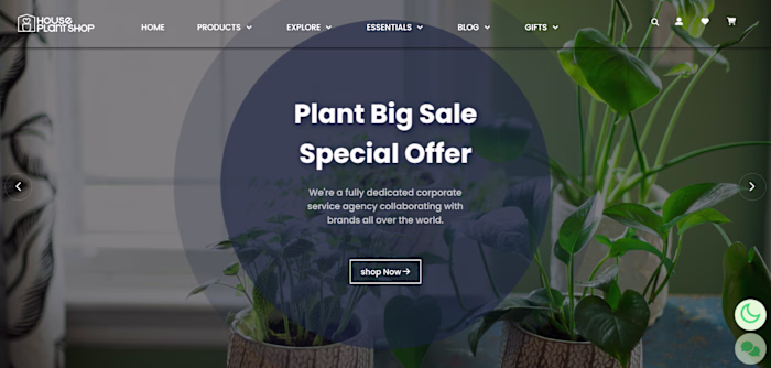 Indoor Plantation E-Commerce
