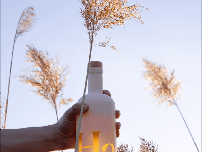 Haus Photography