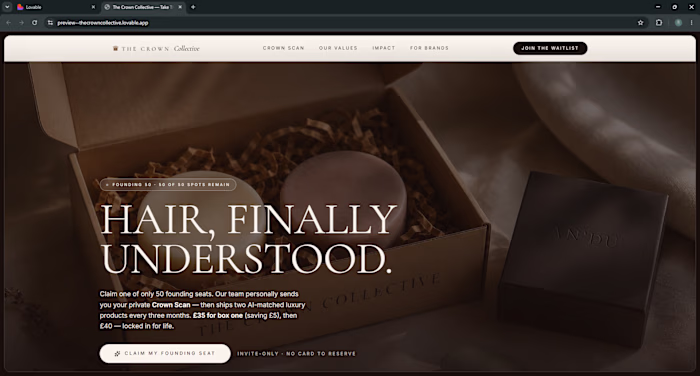 The Crown Collective AI Website