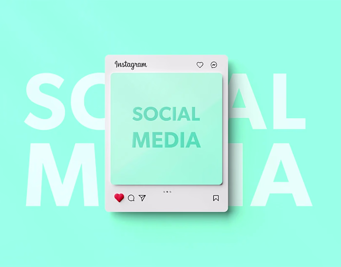 Social Media - 2022
