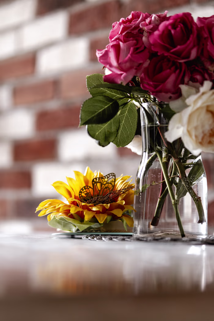 Some Product Photography done for