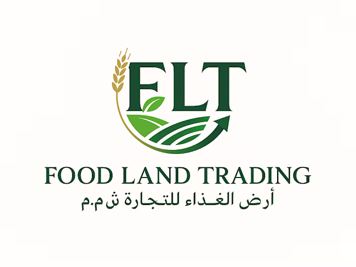 Professional FLT Brand Logo Design