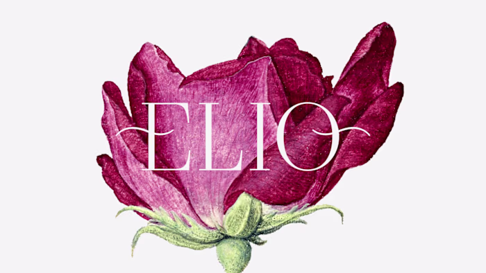 Elio