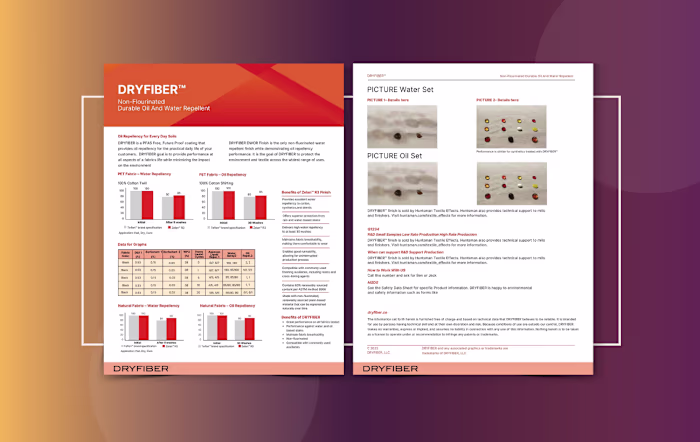 Infographic flyer design