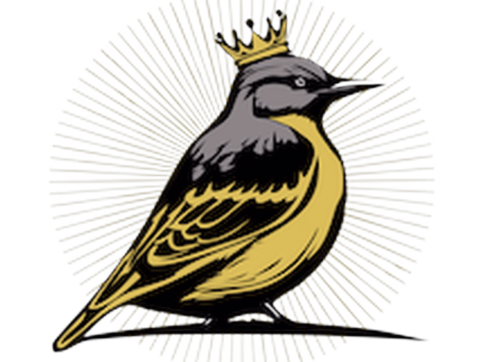 Kingbird Solutions: Operator-built systems for