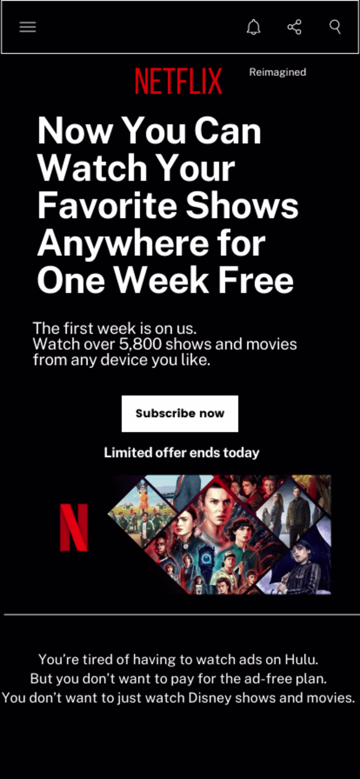 Portfolio: Streaming Service Subscription