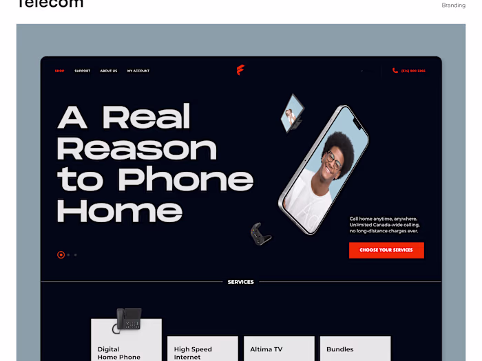 Websites Designs