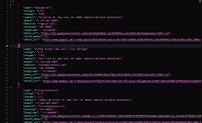 Google Maps Business Data Scraper