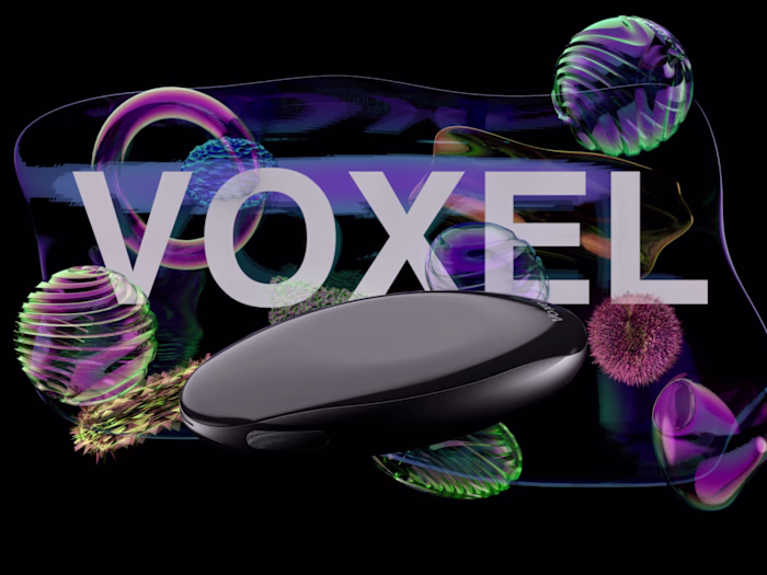 Voxel Mouse